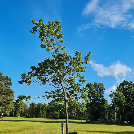 Tranquil Oasis With Sauna And Whirlpool-by Traum Odde