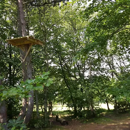 Tranquil Oasis With Sauna And Whirlpool-by Traum Odde