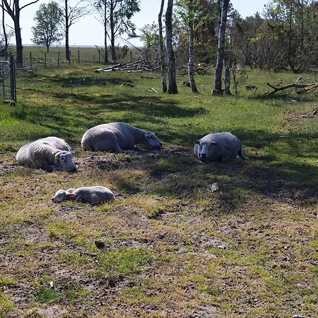 Σπίτι διακοπών 6 Person In Hadsund